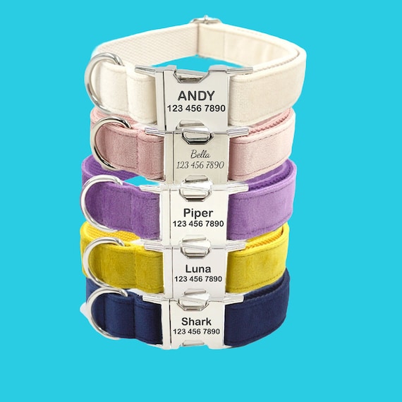 Personalized puppy sale collars