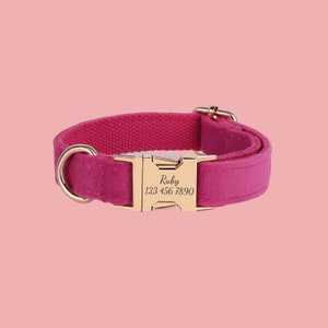 a pink dog collar with a gold buckle