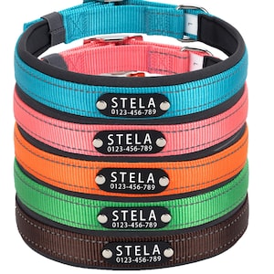May include: Six dog collars in a stack, each a different colour: teal, pink, orange, green, and brown. Each collar has a black nameplate with the name "STELA" and a phone number. The collars have a padded interior and a metal buckle.