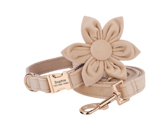 May include: A beige dog collar and leash set with a matching flower charm. The collar has a gold buckle with the name "Sophie" and phone number "123 456 7890" engraved on it.