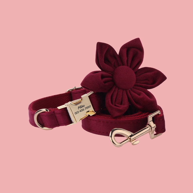 a red dog collar with a gold buckle