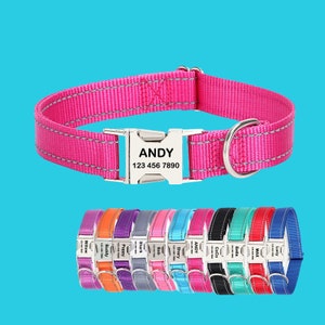 May include: A pink nylon dog collar with a silver buckle and a personalized tag that reads "ANDY 123 456 7890". The collar is shown with a variety of other collars in different colors.