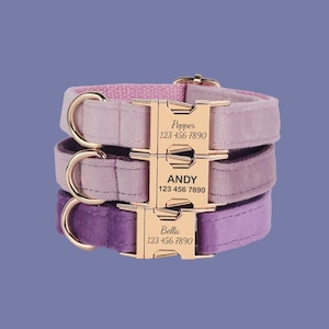 Velvet Personalized Dog Collar Leash Set, Purple + Pink Engraved Pet Name Metal Buckle, Wedding Dog Gift, Custom Puppy Collar