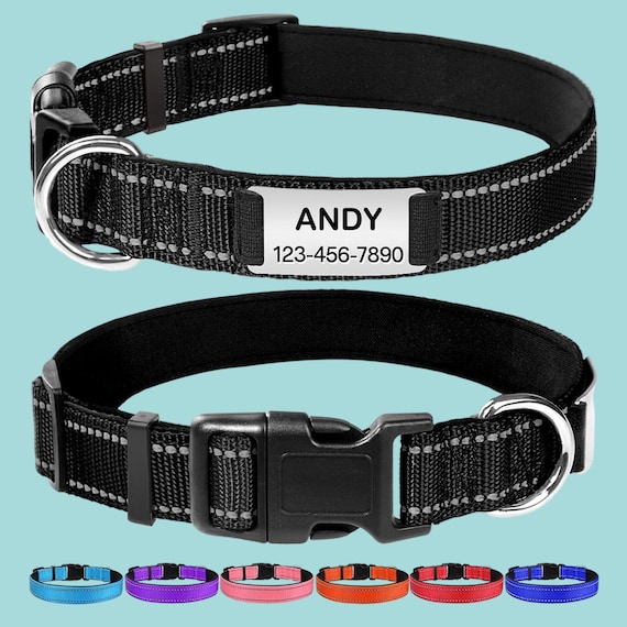 Reflektierendes Nylon-Hundehalsband Verstellbar – Wasserfest, Mit Schnellverschluss, Für Mittelgroße Hunde