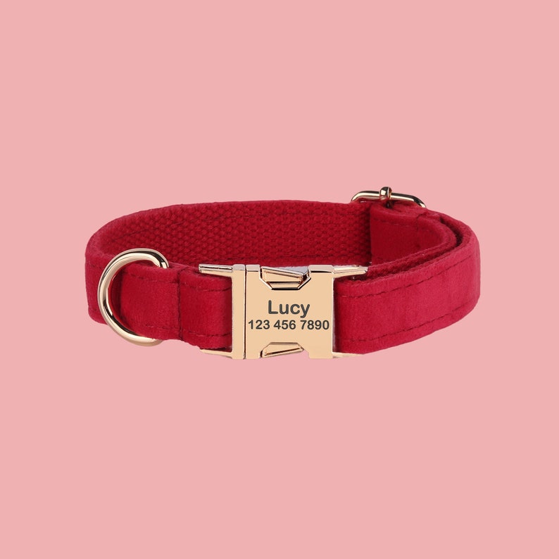 a red dog collar with a gold buckle