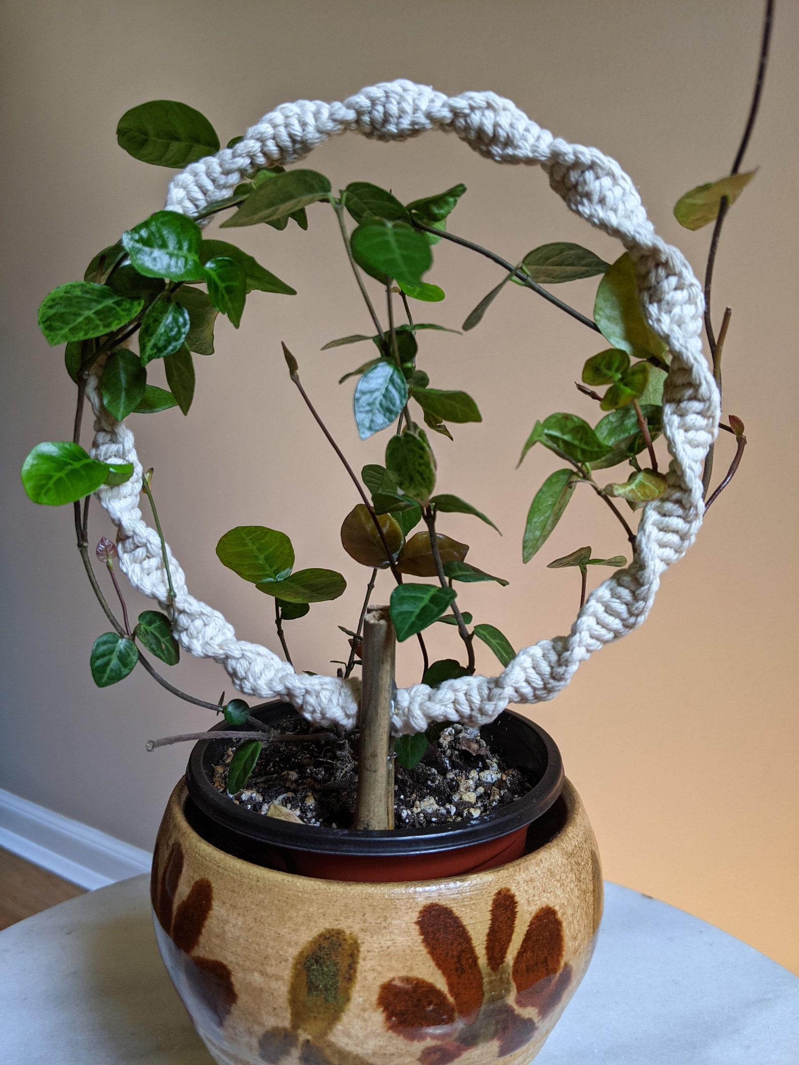 Macrame Plant Trellis Plant Decor Indoor Houseplant Trellis Etsy