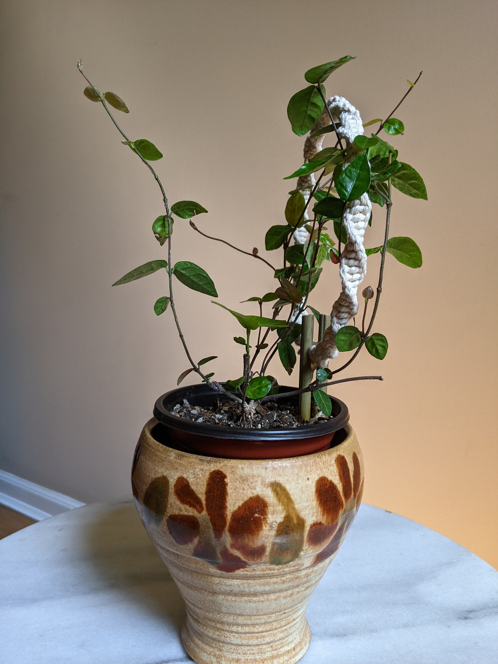 Macrame Plant Trellis Plant Decor Indoor Houseplant Trellis Etsy