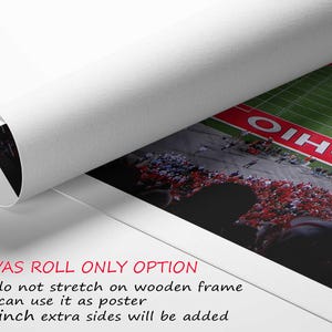 a football field is shown with the words canvas roll only option