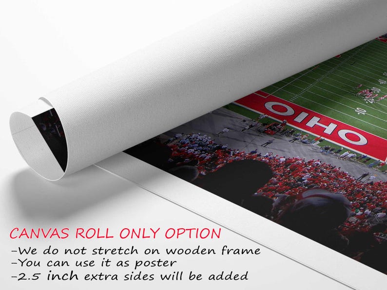 a football field is shown with the words canvas roll only option
