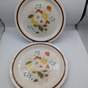 1970s Four Seasons Early Summer Japanese Stoneware Dinner Plates, Set of 2