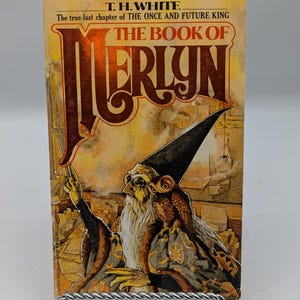 Das Buch Merlyn, T.H. Weiss - 1978 Taschenbuch