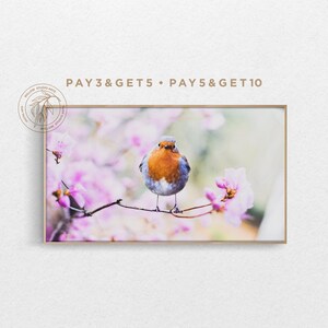 4K Spring Samsung Frame TV Art, Pink Flowers Landscape, Cute Bird TV Art, Modern Floral Natural Boho Digital Artwork
