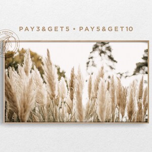 May include: A photograph of a field of tall, feathery, beige pampas grass. The grass is in focus, while the background is blurred. The image is framed in a light wood frame.