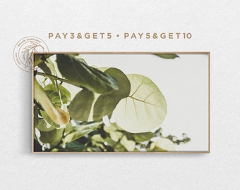 May include: A framed print of a close-up of green leaves against a white background. The leaves are arranged in a way that creates a sense of depth and texture. The print is framed in a simple, wooden frame.