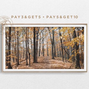 Puede incluir: Una fotografía de un camino a través de un bosque en otoño. Los árboles están mayormente desnudos, pero algunos tienen hojas amarillas. El camino está cubierto de hojas caídas.
