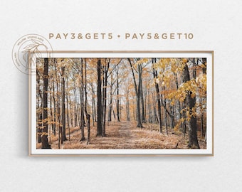 Può includere: Una fotografia di un sentiero attraverso un bosco in autunno. Gli alberi sono per lo più spogli, ma alcuni hanno foglie gialle. Il sentiero è ricoperto di foglie cadute.
