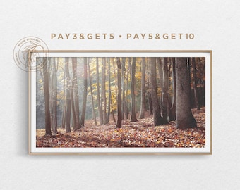 Può includere: Una stampa incorniciata di una scena di foresta autunnale con alberi alti e foglie cadute. La luce del sole filtra attraverso gli alberi. Il testo sulla cornice recita "PAY 3 & GET 5 • PAY 5 & GET 10". La stampa è di Willow Studio Arts.