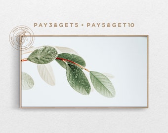 May include: A framed print of a branch with green leaves and water droplets. The background is a light blue color. The text "PAY 3 & GET 5 - PAY 5 & GET 10" is at the top of the image.