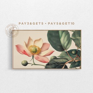 4K Spring Samsung Frame TV Art, Pink Lotus & Green Leaves, Vintage Fine Line Floral Illustration, Muted Hand Drawn Botanical Digital Artwork