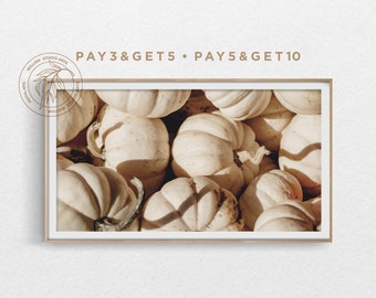 May include: A close-up image of a pile of white pumpkins. The pumpkins are arranged in a random pattern and are illuminated by natural light, casting shadows on the surface.