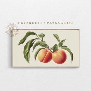 4K Spring Samsung Frame TV Art, Pink Peaches on Tree Branch, Fine Oil Painting, Sunny Summer Fruits TV Art, Hand Drawn Digital Artwork