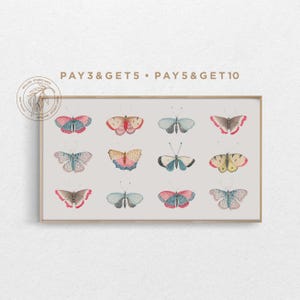 May include: A framed print with a white background featuring 12 colorful butterfly illustrations. The text "PAY 3 & GET 5 • PAY 5 & GET 10" is at the top of the print.