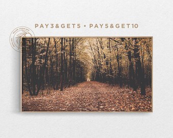 Può includere: Una fotografia di un sentiero attraverso un bosco in autunno. Gli alberi sono spogli e le foglie sono marroni. Il sentiero è fiancheggiato da foglie cadute. Il testo "PAY 3 & GET 5 • PAY 5 & GET 10" è visibile nella parte superiore dell'immagine.