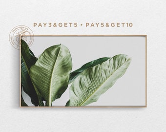 May include: A framed print of a close-up of large green leaves against a white background. The text "PAY 3 & GET 5 • PAY 5 & GET 10" is at the top of the image.