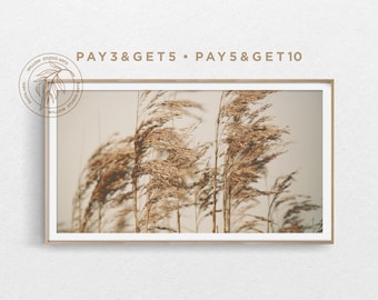 Arte de TV com moldura Samsung outono 4K, arte de TV bege Pampas, paisagem natural neutra de outono terroso, arte digital Boho moderna