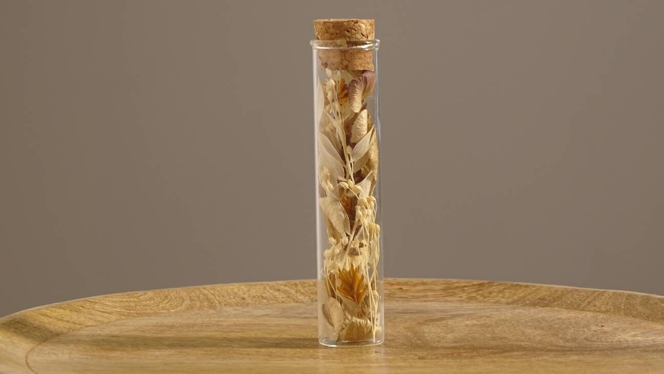 Q'ispi - Fiole Fleurs Séchées, Tube en Verre Fleuri, Éprouvette de Cadeaux Invités Mariage, Petites 