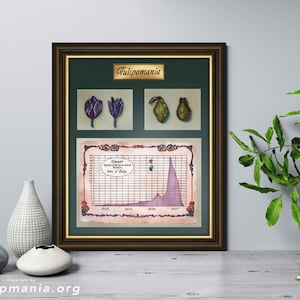 Wall Street Canvas Movie Poster Wallstreet Art Stock Market, Investment Trading Finance Business Gifts FRAMED ART PRINT High Quality Poster