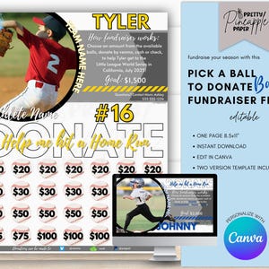 Editable Baseball - Pick a Ball to Donate Fundraiser Template, Fundraise for Baseball Season, Fillable Printable Flyer, Sponsorship
