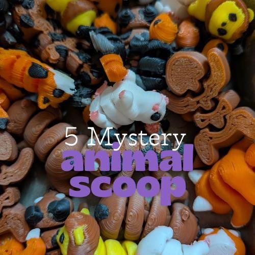 Mystery scoop toys - Etsy 日本