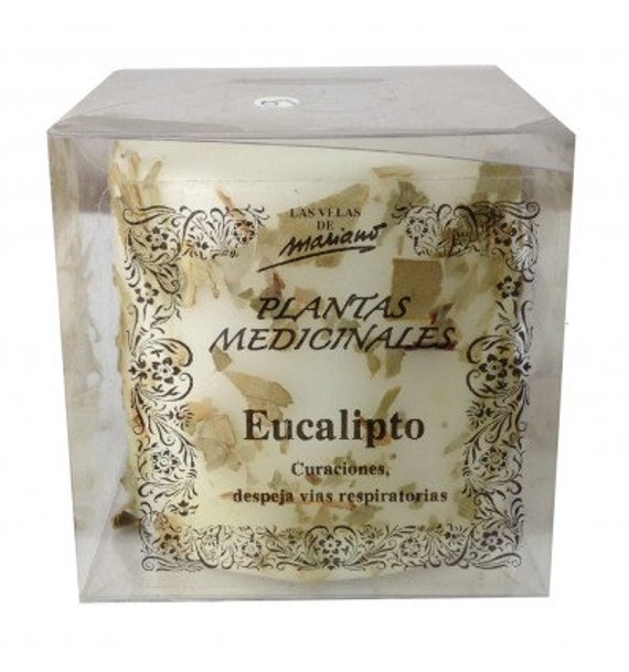 Veilleuse Aux Plantes Médicinales Eucalyptus