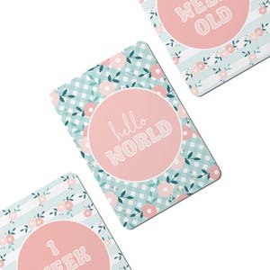 Cartes jalons numériques pour bébés Fleurs pastel - Lot de 25