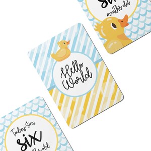 Cartes jalons numériques en caoutchouc Ducky Baby - Lot de 25