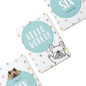 Cartes jalons numériques Twinkle Paws pour bébés - Lot de 25
