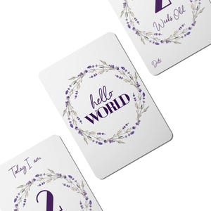 Cartes jalons numériques bébé lavande violette - Lot de 25