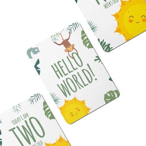 Cartes jalons Digital Twinkle Safari Baby - Lot de 25