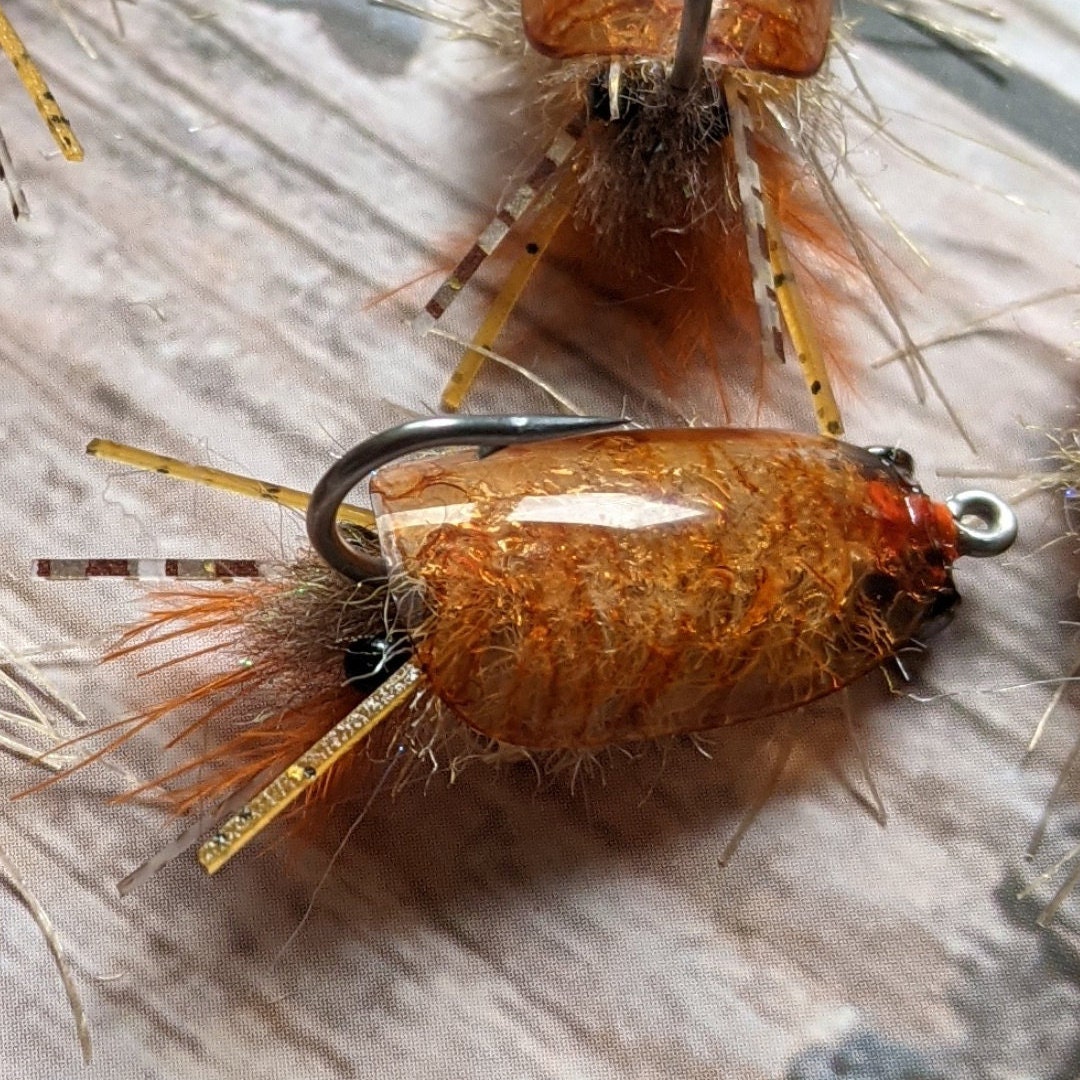 Hardshell sand flea fly 3pack Etsy