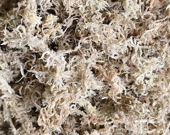 Sphagnum Moss - 1 Quart & 1 Gallon