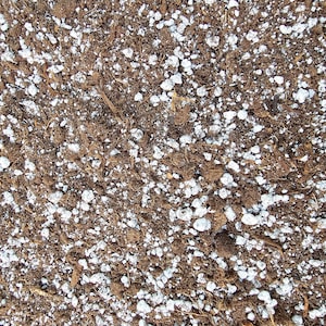 May include: Close-up of a brown soil mixture with white perlite granules. The soil is used for growing plants.
