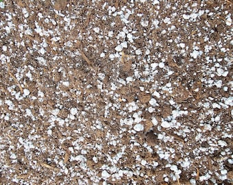 Carnivorous Plant Soil Mix - 3 Cups, 1 Quart, 1 Gallon