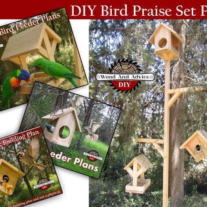 DIY Bird Praise Set Plan,4 DIY plans,Birdhouse, Parrot Feeding House, DIY Birdhouse,Stand for your return