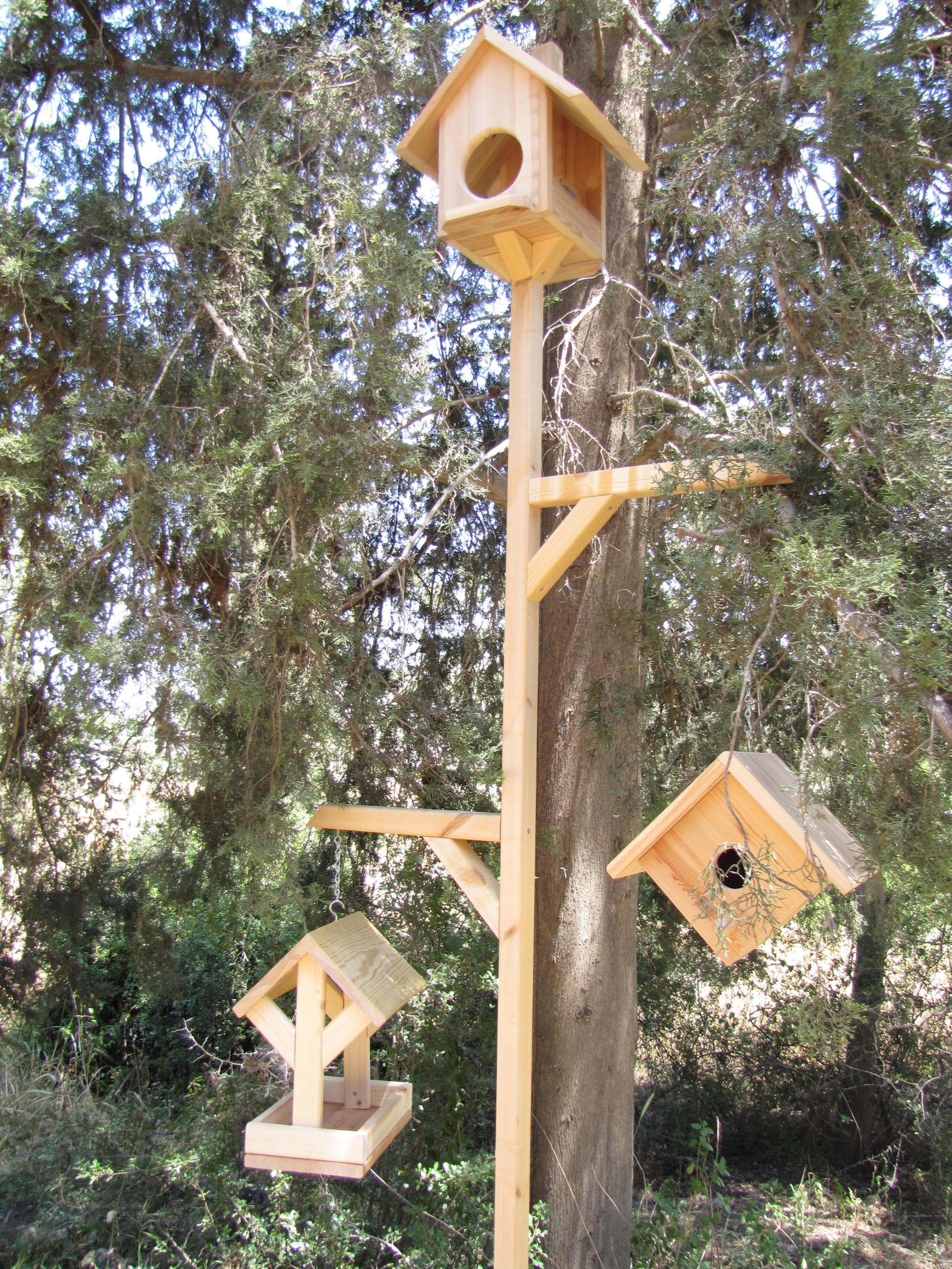 DIY Bird Praise Set Plan,4 DIY Plans,birdhouse, Parrot Feeding House ...