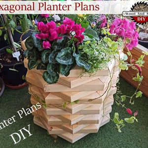 Peut inclure: Un planteur hexagonal en bois à faire soi-même. Le planteur est rempli de plantes vertes et de fleurs roses. Le texte "Planter Plans DIY" est visible dans le coin inférieur gauche de l'image.