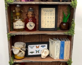 DIY KIT | Miniature Fairy Witch Bookshelf Kit | DIY Miniature Bookshelf | Dollhouse Miniatures | Miniature Apothecary Shelf