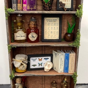 DIY KIT | Miniature Fairy Witch Bookshelf Kit | DIY Miniature Bookshelf | Dollhouse Miniatures | Miniature Apothecary Shelf