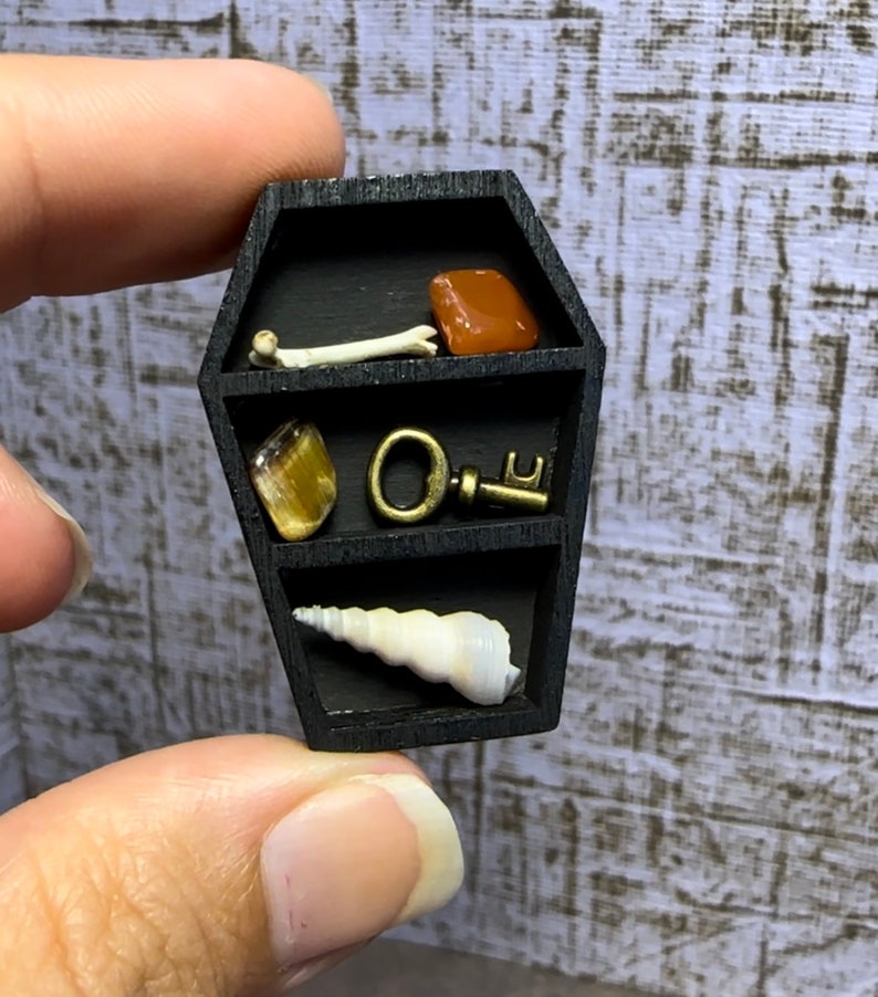 Micro Coffin Trinket Shelf | Halloween Miniatures | Micro Crystal Shelf ...