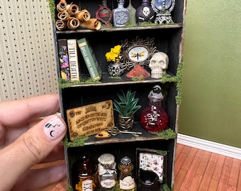 Miniature Witch's Apothecary Shelf | Handmade Apothecary Shelf | Halloween Miniature Shelf